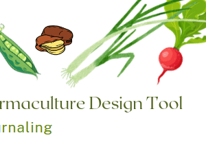 Permaculture Journal Template