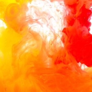 Creating & Maintaining a Sociocratic EcoSystem